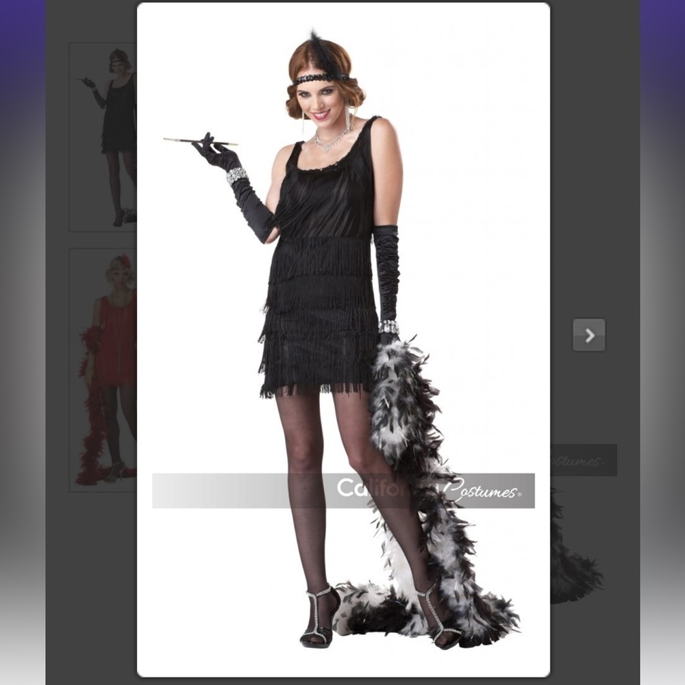 Adult Flapper Costume Dress Size Small